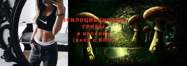 мдпв Богданович